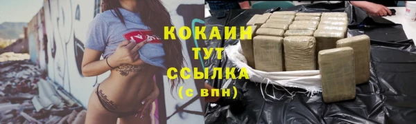 прущие грибы Михайловка