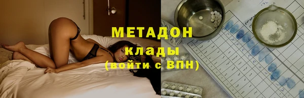 прущие грибы Михайловка