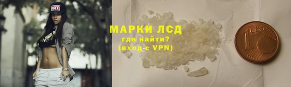прущие грибы Михайловка