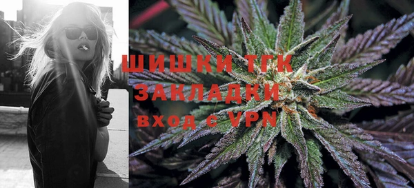 прущие грибы Михайловка