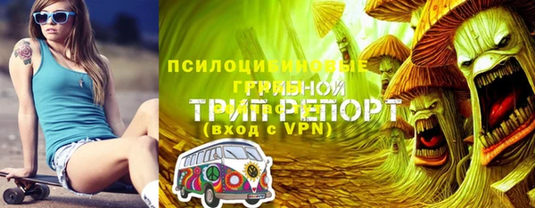 прущая мука Михайлов