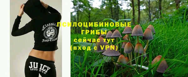 ешки Михайловск