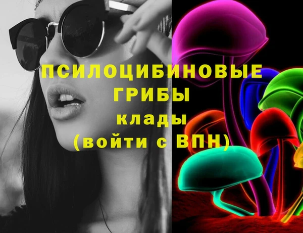 прущие грибы Михайловка