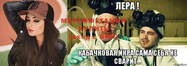 прущие грибы Михайловка