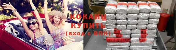 прущие грибы Михайловка