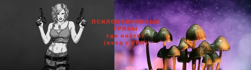 MEGA сайт  shop какой сайт  Псилоцибиновые грибы MAGIC MUSHROOMS  цена   Елизово 