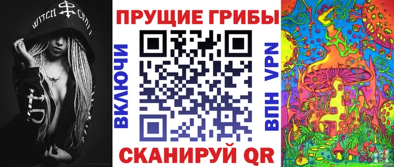что такое   Елизово  Галлюциногенные грибы GOLDEN TEACHER 