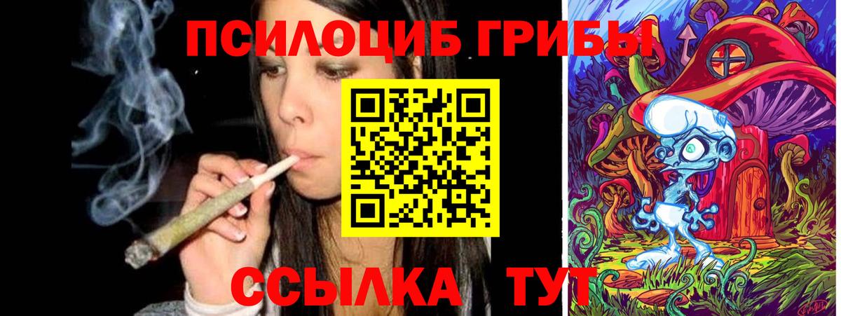 Псилоцибиновые грибы Psilocybine cubensis Елизово