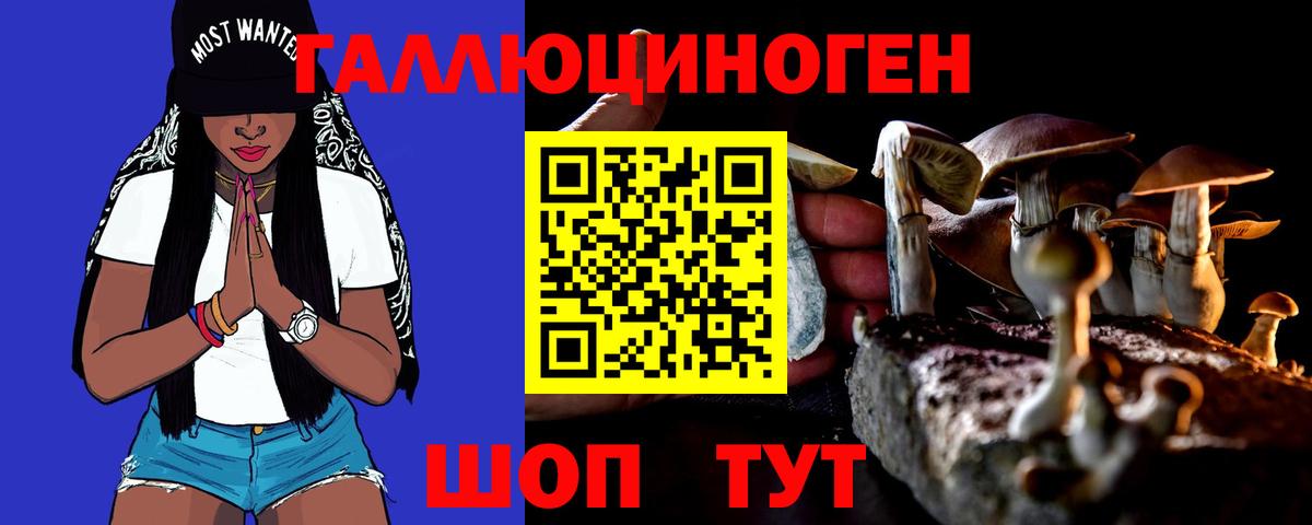 Елизово  сколько стоит  Вход с VPN  Галлюциногенные грибы Magic Shrooms  Галлюциногенные грибы мицелий 