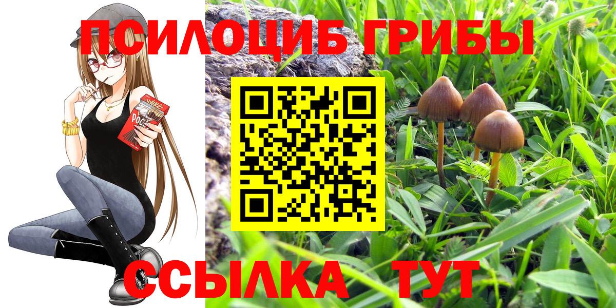 Галлюциногенные грибы мухоморы Елизово